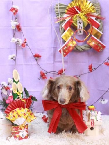 20230125桃ちゃん